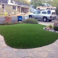 Artificial Grass Bay Hill, Florida Landscaping, Front Yard