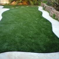 Artificial Grass Carpet Daytona Beach, Florida Design Ideas, Backyard Garden Ideas