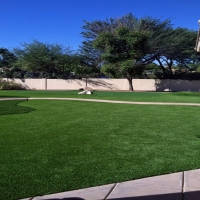 Artificial Grass Carpet Inglis, Florida Gardeners, Front Yard Ideas