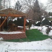 Artificial Grass Carpet Macclenny, Florida Gardeners, Backyard