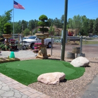 Artificial Grass Carpet Ridge Manor, Florida Garden Ideas, Commercial Landscape