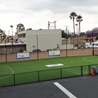 Artificial Grass Newberry, Florida Softball, Commercial Landscape