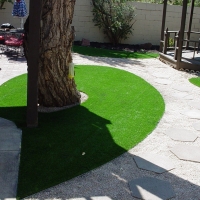 Artificial Grass North Brooksville, Florida Gardeners, Backyard Garden Ideas