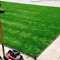 Artificial Grass Seville, Florida Home And Garden