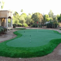 Artificial Grass Shady Hills, Florida Putting Green Turf, Backyard Design