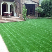 Artificial Grass Tildenville, Florida Landscape Design, Front Yard Ideas