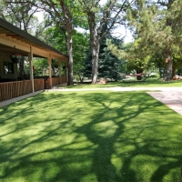 Artificial Grass Waukeenah, Florida Dog Park, Backyards