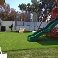 Artificial Grass Winter Park, Florida Rooftop, Backyard Landscape Ideas