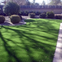 Artificial Lawn Conway, Florida Landscape Photos, Front Yard Landscape Ideas