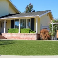 Artificial Lawn Crystal River, Florida Rooftop, Front Yard Landscape Ideas