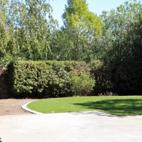 Artificial Lawn Lisbon, Florida Landscape Ideas, Small Backyard Ideas