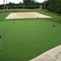 Artificial Lawn Pine Ridge, Florida Landscape Design, Backyard Garden Ideas