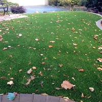 Artificial Lawn San Antonio, Florida City Landscape, Front Yard Landscaping Ideas