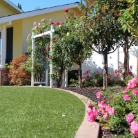 Artificial Lawn The Villages, Florida Lawn And Garden, Front Yard Landscaping