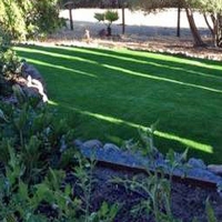 Artificial Turf Cost Five Points, Florida Lawn And Garden, Beautiful Backyards