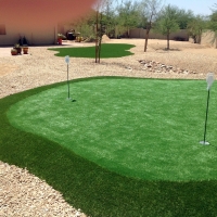 Artificial Turf Cost Hawthorne, Florida Best Indoor Putting Green, Backyard Designs