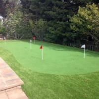 Artificial Turf Cost Inglis, Florida Indoor Putting Green, Small Backyard Ideas