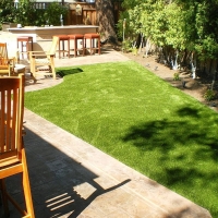 Artificial Turf Cost Orange City, Florida Dogs, Backyard Ideas