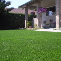 Artificial Turf Cost Tangelo Park, Florida Rooftop, Small Front Yard Landscaping