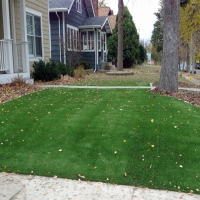 Artificial Turf Cost Union Park, Florida Landscaping Business, Front Yard Design