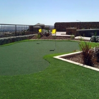 Artificial Turf East Williston, Florida Indoor Putting Greens