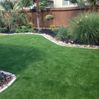 Artificial Turf Glen Saint Mary, Florida Landscape Ideas, Backyard Design