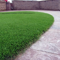 Artificial Turf Installation Cedar Key, Florida Dog Park, Front Yard Landscape Ideas