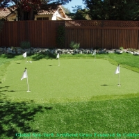 Artificial Turf Installation Ponte Vedra Beach, Florida Home Putting Green, Backyard