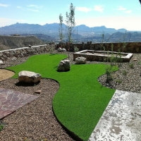 Artificial Turf Jacksonville Beach, Florida Dog Hospital, Backyard Landscaping