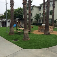 Artificial Turf Silver Springs Shores, Florida Home And Garden, Commercial Landscape