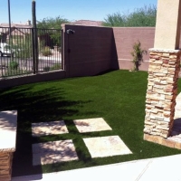 Artificial Turf Zellwood, Florida Landscaping Business, Backyard Ideas