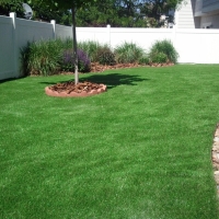 Best Artificial Grass East Palatka, Florida City Landscape, Backyard Ideas