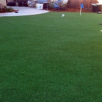 Best Artificial Grass Merritt Island, Florida Landscape Photos, Backyard Design