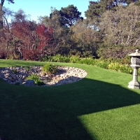 Best Artificial Grass Palatka, Florida Landscaping Business, Backyard Makeover