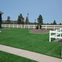 Best Artificial Grass Ponte Vedra Beach, Florida Roof Top, Front Yard Landscaping Ideas