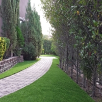 Best Artificial Grass Spring Hill, Florida Paver Patio, Landscaping Ideas For Front Yard