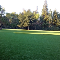 Fake Grass Carpet Apopka, Florida Paver Patio, Parks