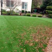 Fake Grass Carpet Buenaventura Lakes, Florida Paver Patio, Backyard Ideas