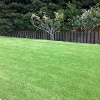 Fake Grass Carpet Forest City, Florida Landscaping, Backyard Landscaping