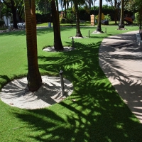 Fake Grass Carpet Hawthorne, Florida Landscaping, Commercial Landscape