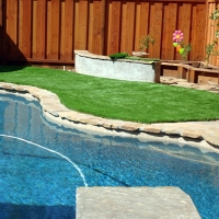 Fake Grass Carpet Interlachen, Florida Lawn And Garden, Backyard Landscape Ideas