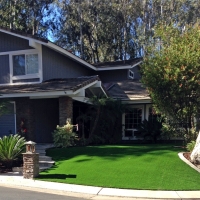 Fake Grass Carpet Jennings, Florida Landscaping, Front Yard Landscape Ideas