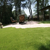 Fake Grass Carpet Minneola, Florida Home And Garden, Backyards