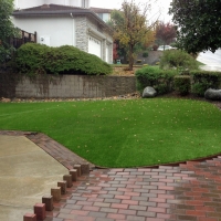 Fake Grass Carpet Nobleton, Florida Landscape Design, Backyard Ideas