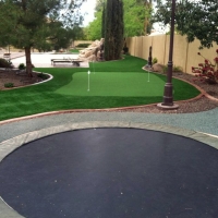 Fake Grass Carpet Oak Ridge, Florida Lawn And Garden, Backyard