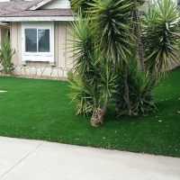 Fake Grass Pine Lakes, Florida Home And Garden, Front Yard