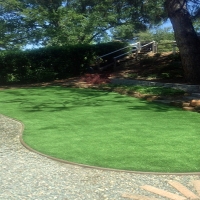 Fake Grass Waukeenah, Florida Garden Ideas, Backyard Ideas