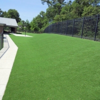 Fake Lawn Cedar Key, Florida Roof Top, Commercial Landscape