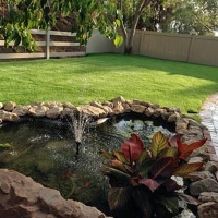 Fake Turf Crescent City, Florida Gardeners, Backyard Designs