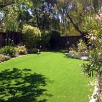 Fake Turf Mayo, Florida Backyard Playground, Small Backyard Ideas